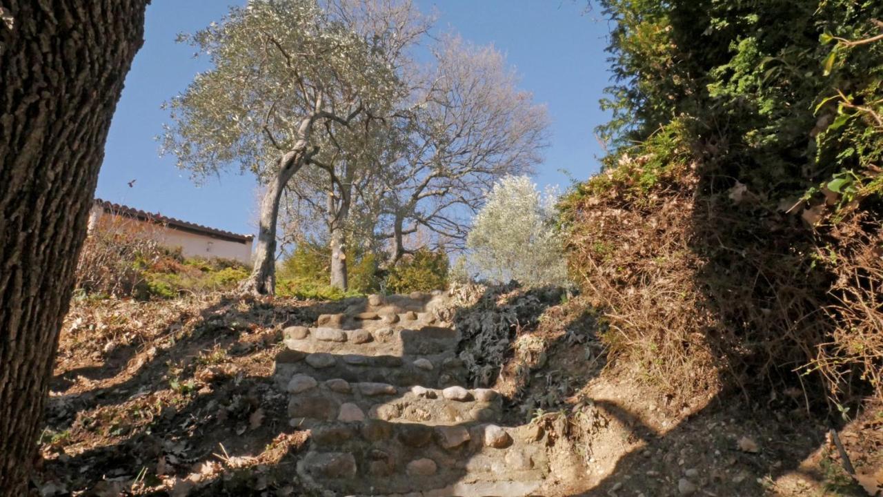 Les Chambres D Hotes De Valensole Au Pays Des Lavandes Et Proche Des Gorges Du Verdon Buitenkant foto